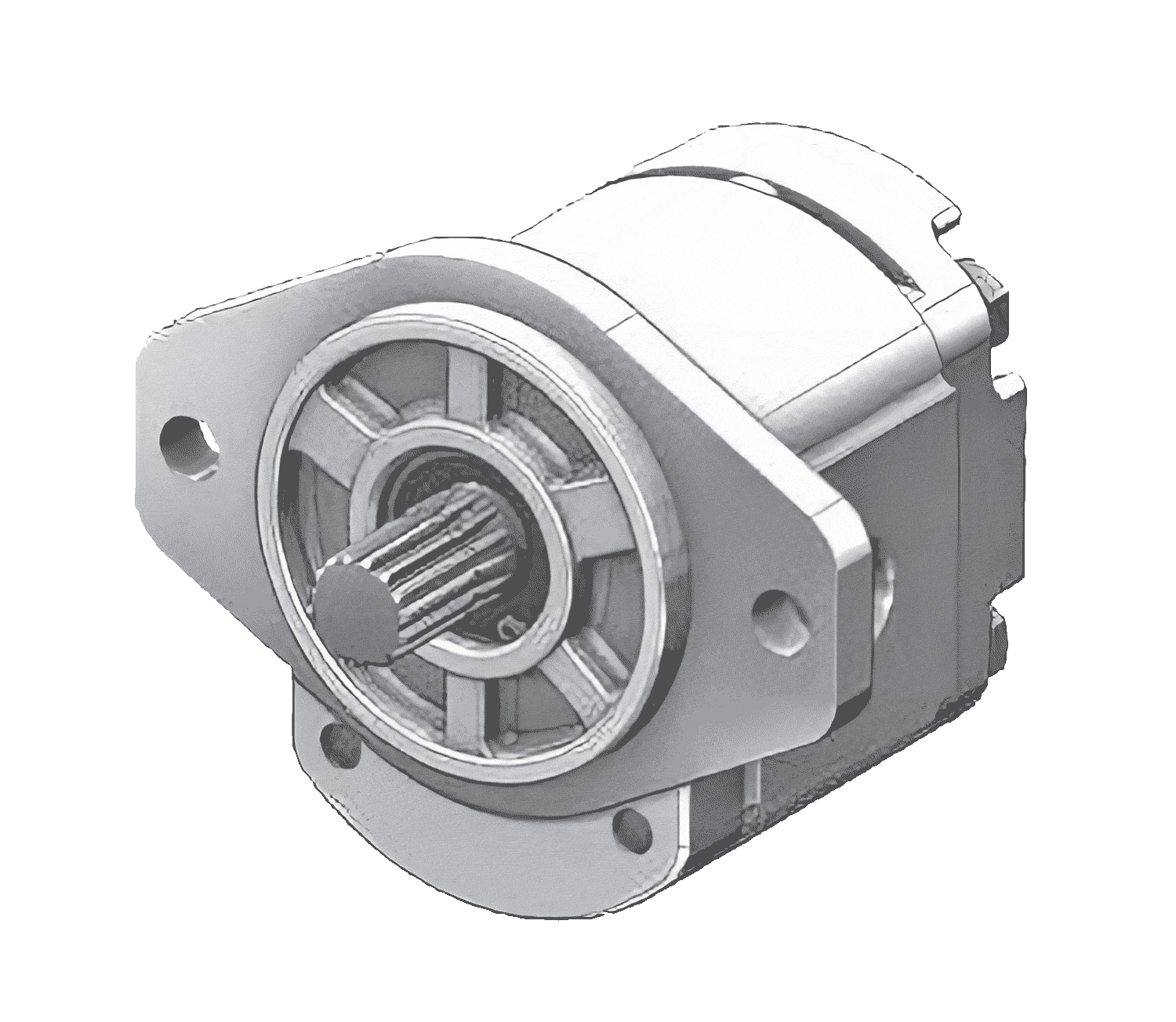 Gear Pump