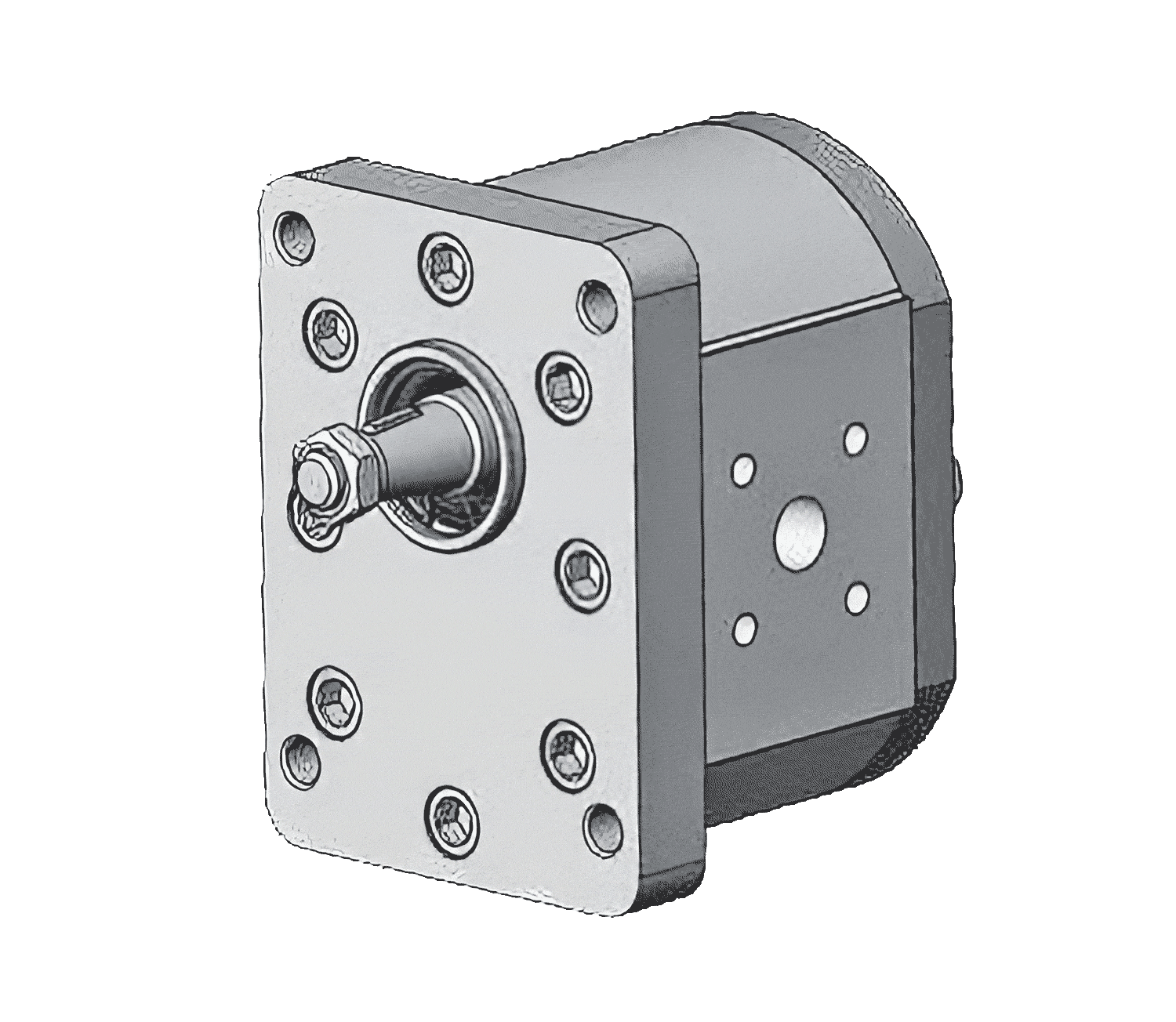 Gear Pump